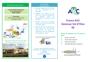 Voir la plaquette France AVC Gonesse Val d`Oise 95