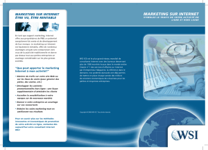 marketing sur internet - WSI Solutions Internet