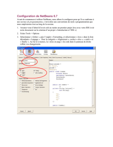 Configuration de NetBeans 6.7