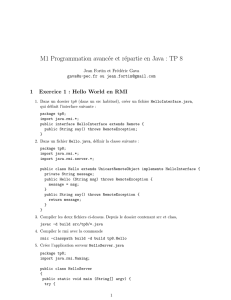 M1 Programmation avancée et répartie en Java : TP 8