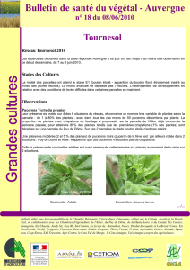 Bulletin de santé du végétal Auvergne N° 18