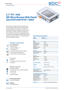 5.7” TFT / VGA SBC Micro Browser Web
