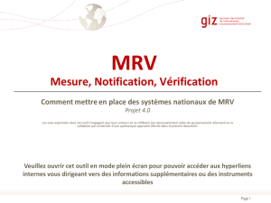 MRV des - International Partnership on Mitigation and MRV