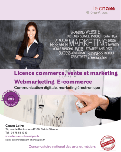 Licence commerce, vente et marketing - cnam rhone