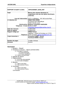 RAPPORT D`EXPERTISE C