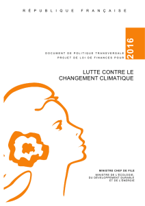 Lutte contre le changement climatique