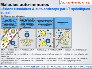 Maladies auto-immunes - E