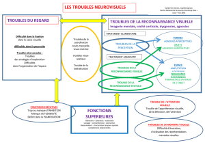 Troubles neurovisuels - Centre national de ressources handicaps