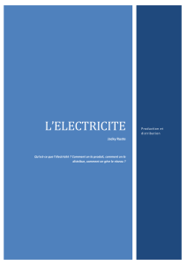 l`electricite - Friends against wind