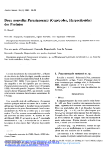 Deux nouvelles Pamsteaocaris (Copépodes, Harpacticoïdes) des