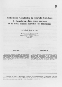 Homoptères Cicadoidea de Nouvelle-Calédonie 1