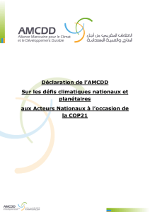 Résumé Déclaration Nationale AMCDD - E