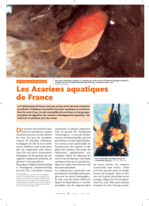 Les Acariens aquatiques de France