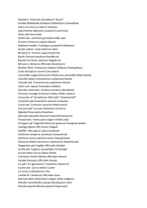 liste alphabetique plantes en français + traduction - E