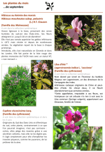 Septembre 2013 - jardin botanique de Besançon