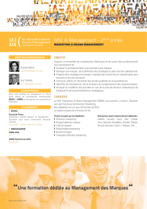 MSc in Management - IAE - Aix