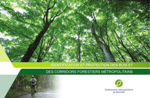 Identification et protection des bois et des corridors forestiers