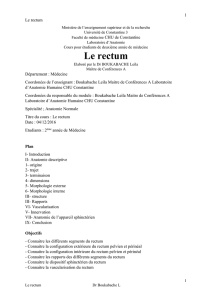 Le rectum - Université de Constantine 3
