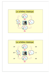 L`empreinte génomique parentale.