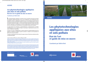 Les phytotechnologies appliquées aux sites et sols pollués