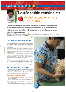 L`ostéopathie vétérinaire - Docteur Frédéric Sebbah VETERINAIRE