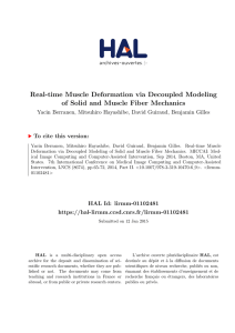 Real-time Muscle Deformation via Decoupled Modeling - Hal