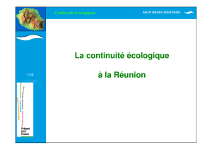 La continuité hydro-écologique - Comité de Bassin de La Réunion