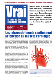 les muscles squelet - The Dr. Rath Health Foundation