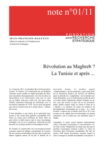 Révolution au Maghreb ? La Tunisie et après