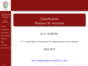 Classification Réseaux de neurones