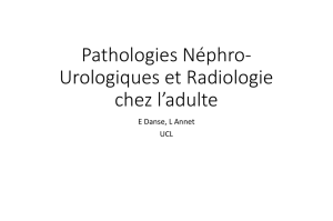 Pathologies Néphro-Urologiques et Radiologie chez