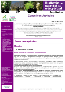 Zones non agricoles - Conseil général de la Dordogne