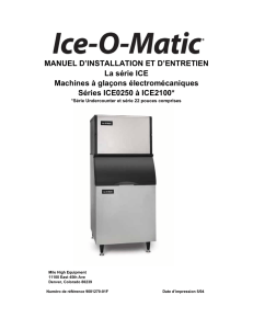 Machines à glaçons électromécaniques La série ICE - Ice-O