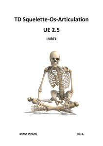 TD Squelette-Os-Articulation UE 2.5