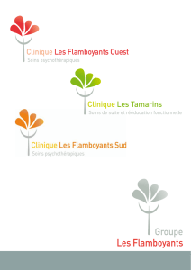 Télécharger document - Groupe Les Flamboyants