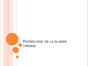 Physiologie de la glande thyroïde