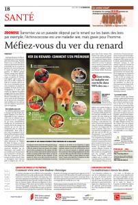 Zoonose : se méfier de parasite du renard 02.04.2015