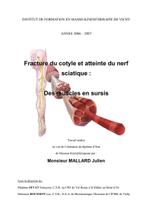 Fracture du cotyle et atteinte du nerf sciatique : Des muscles en sursis