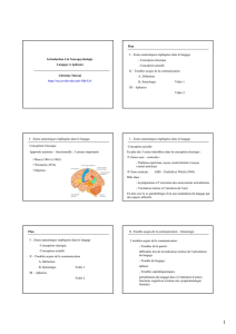 Introduction à la Neuropsychologie Langage et Aphasies Christine