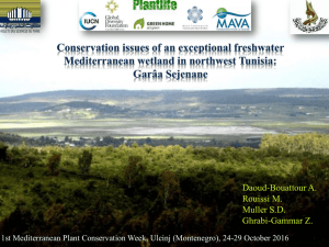 Problématique - 1st Mediterranean Plant Conservation Week