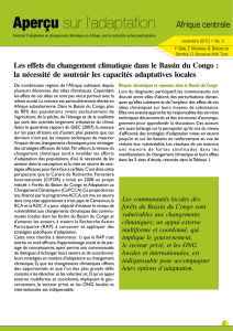 Les effets du changement climatique dans le Bassin du Congo