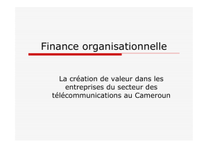 Finance organisationnelle - gregor-iae