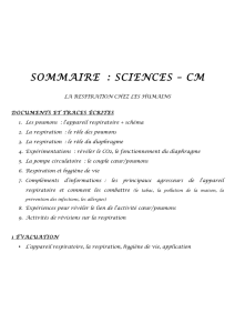 sommaire : sciences – cm