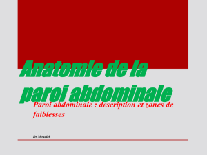 paroi-abdominale-_1__1 (PDF, 2.46 Mo) - facmed-univ-oran