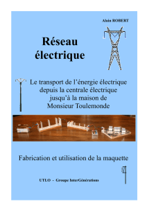 Alain ROBERT Réseau électrique