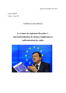 La refonte du règlement Bruxelles I : internationalisation du champ d