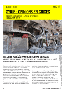 SYrie. Opinions en crises