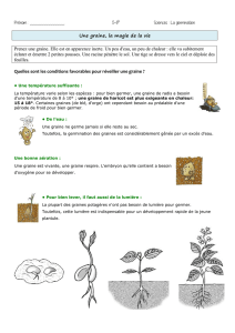 Prénom : 5-6H Sciences : La germination Une graine, la magie de la