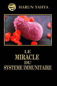 Le miracle du système immunitaire