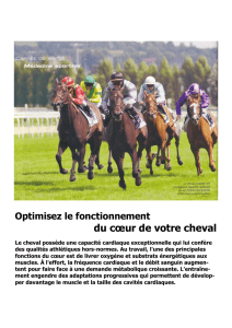 Optimisez le fonctionnement du cœur de votre cheval